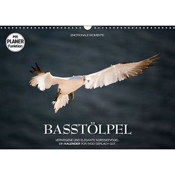 Emotionale Momente: Basstölpel (Wandkalender 2016 DIN A3 quer), Ingo Gerlach