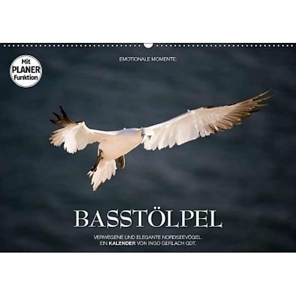 Emotionale Momente: Basstölpel (Wandkalender 2017 DIN A2 quer), Ingo Gerlach