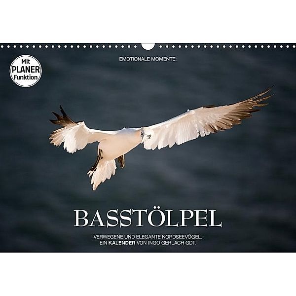 Emotionale Momente: Basstölpel (Wandkalender 2017 DIN A3 quer), Ingo Gerlach