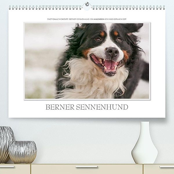Emotionale Momente: Berner Sennenhund. (Premium, hochwertiger DIN A2 Wandkalender 2023, Kunstdruck in Hochglanz), Ingo Gerlach GDT