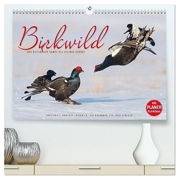 Emotionale Momente: Birkwild (hochwertiger Premium Wandkalender 2025 DIN A2 quer), Kunstdruck in Hochglanz, Calvendo, Ingo Gerlach