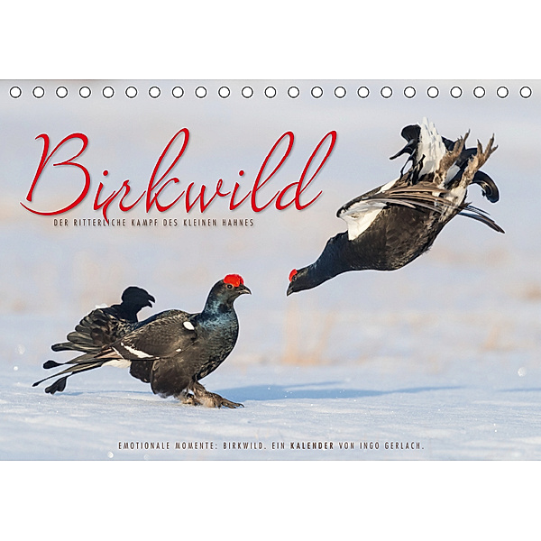 Emotionale Momente: Birkwild (Tischkalender 2019 DIN A5 quer), Ingo Gerlach
