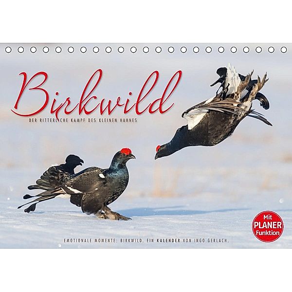 Emotionale Momente: Birkwild (Tischkalender 2021 DIN A5 quer), Ingo Gerlach