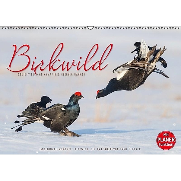 Emotionale Momente: Birkwild (Wandkalender 2019 DIN A2 quer), Ingo Gerlach