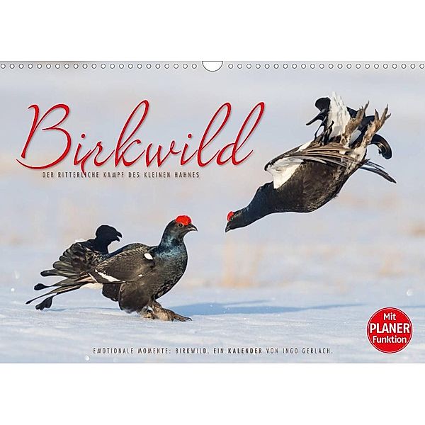 Emotionale Momente: Birkwild (Wandkalender 2023 DIN A3 quer), Ingo Gerlach