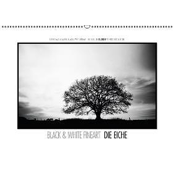 Emotionale Momente: Black & White Fineart - die Eiche. / CH-Version (Wandkalender 2015 DIN A2 quer), Ingo Gerlach