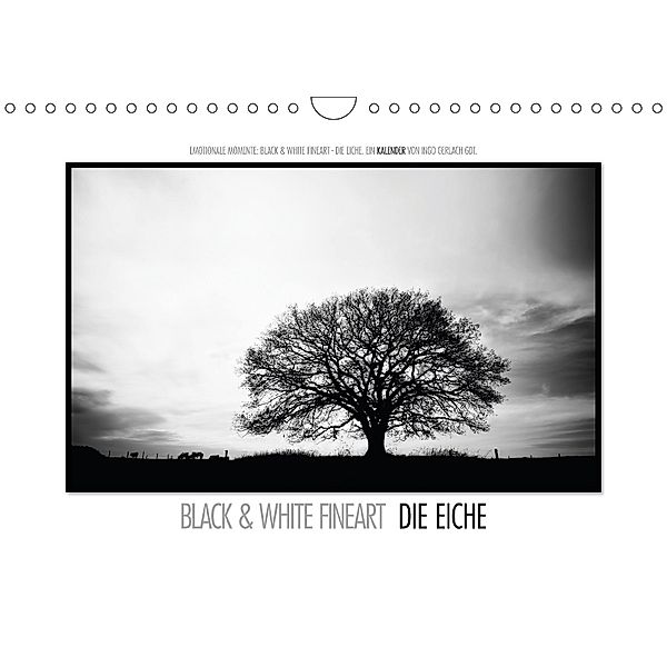 Emotionale Momente: Black & White Fineart - die Eiche. / CH-Version (Wandkalender 2018 DIN A4 quer), Ingo Gerlach, Ingo Gerlach GDT