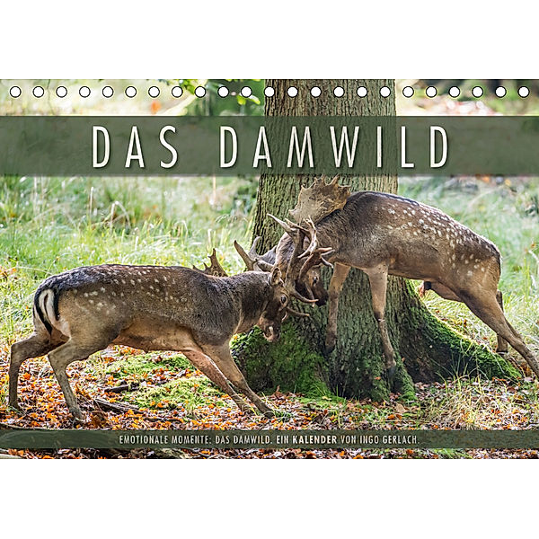 Emotionale Momente: Das Damwild. (Tischkalender 2019 DIN A5 quer), Ingo Gerlach