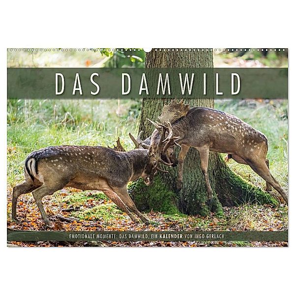 Emotionale Momente: Das Damwild. (Wandkalender 2024 DIN A2 quer), CALVENDO Monatskalender, Ingo Gerlach