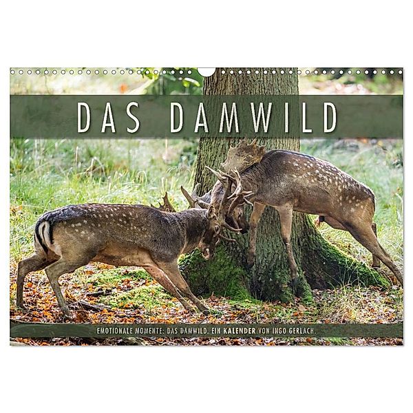 Emotionale Momente: Das Damwild. (Wandkalender 2025 DIN A3 quer), CALVENDO Monatskalender, Calvendo, Ingo Gerlach