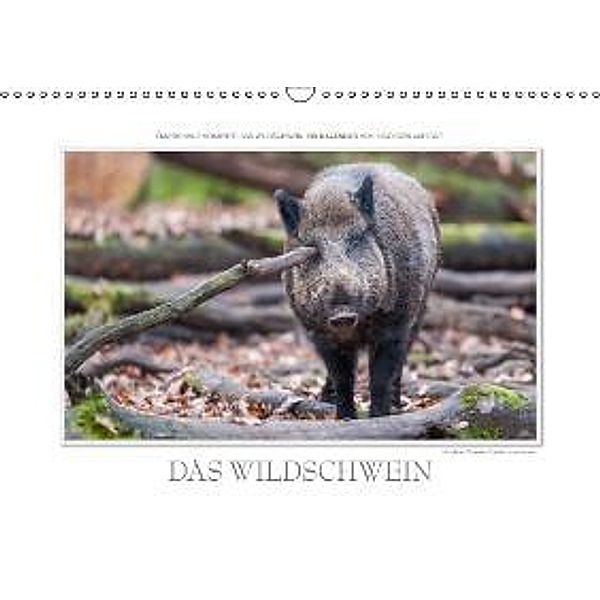 Emotionale Momente: Das Wildschwein. / AT-Version (Wandkalender 2015 DIN A3 quer), Ingo Gerlach