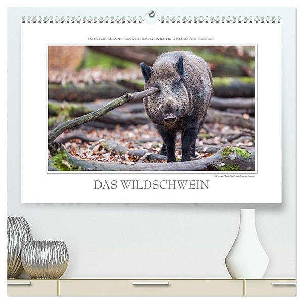 Emotionale Momente: Das Wildschwein. / CH-Version (hochwertiger Premium Wandkalender 2024 DIN A2 quer), Kunstdruck in Hochglanz, Ingo Gerlach GDT