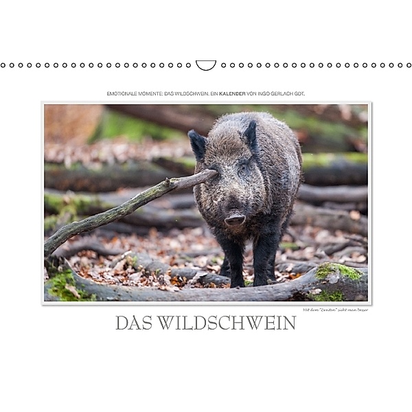 Emotionale Momente: Das Wildschwein. (Wandkalender 2014 DIN A3 quer), Ingo Gerlach