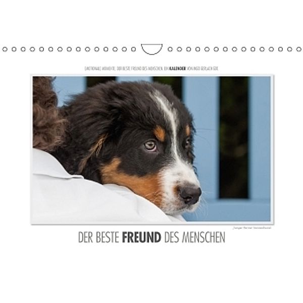 Emotionale Momente: Der beste Freund des Menschen. / CH-Version (Wandkalender 2017 DIN A4 quer), Ingo Gerlach