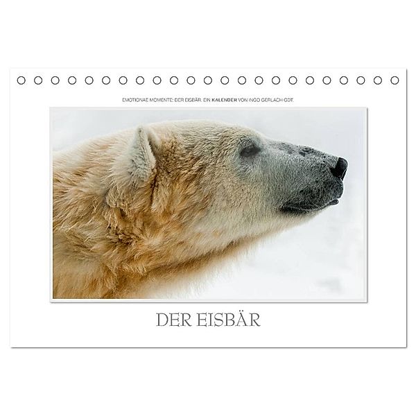 Emotionale Momente: Der Eisbär. (Tischkalender 2024 DIN A5 quer), CALVENDO Monatskalender, Ingo Gerlach GDT