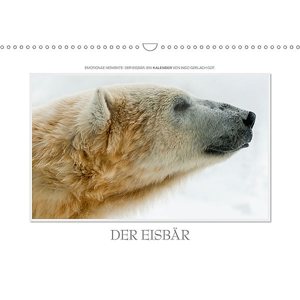 Emotionale Momente: Der Eisbär. (Wandkalender 2020 DIN A3 quer), Ingo Gerlach GDT