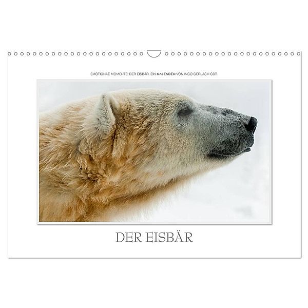 Emotionale Momente: Der Eisbär. (Wandkalender 2024 DIN A3 quer), CALVENDO Monatskalender, Ingo Gerlach GDT