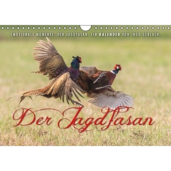 Emotionale Momente: Der Jagdfasan. (Wandkalender 2016 DIN A4 quer), Ingo Gerlach