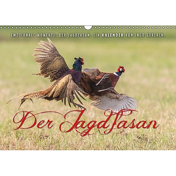 Emotionale Momente: Der Jagdfasan. (Wandkalender 2018 DIN A3 quer), Ingo Gerlach