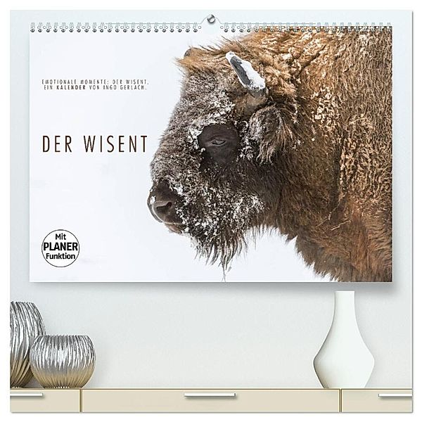 Emotionale Momente: Der Wisent. (hochwertiger Premium Wandkalender 2024 DIN A2 quer), Kunstdruck in Hochglanz, Ingo Gerlach