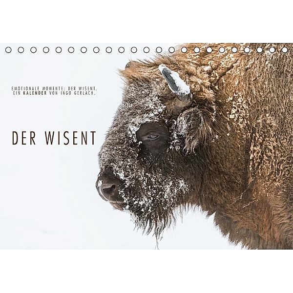 Emotionale Momente: Der Wisent. (Tischkalender 2017 DIN A5 quer), Ingo Gerlach