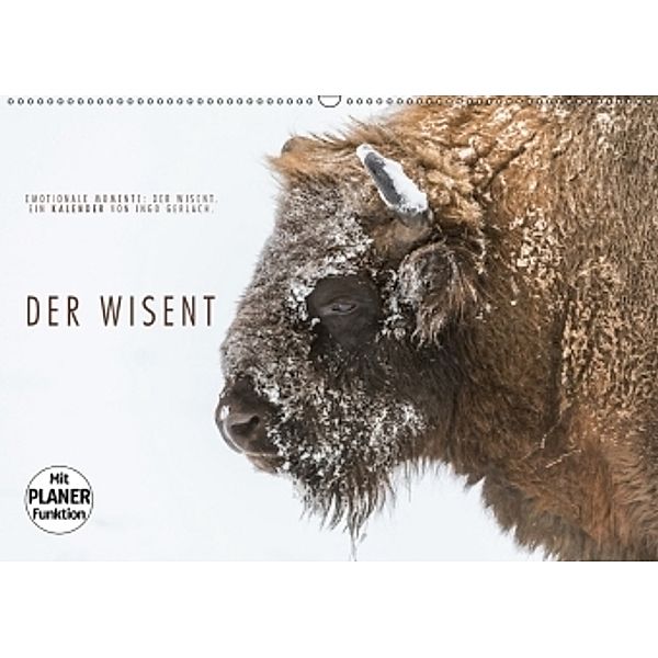 Emotionale Momente: Der Wisent. (Wandkalender 2017 DIN A2 quer), Ingo Gerlach