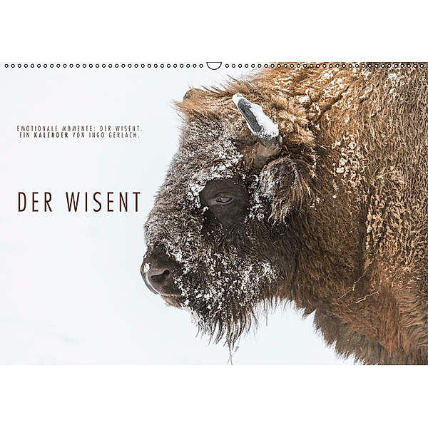 Emotionale Momente: Der Wisent. (Wandkalender 2019 DIN A2 quer), Ingo Gerlach