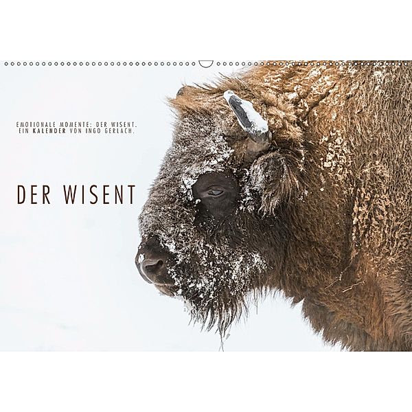 Emotionale Momente: Der Wisent. (Wandkalender 2020 DIN A2 quer), Ingo Gerlach