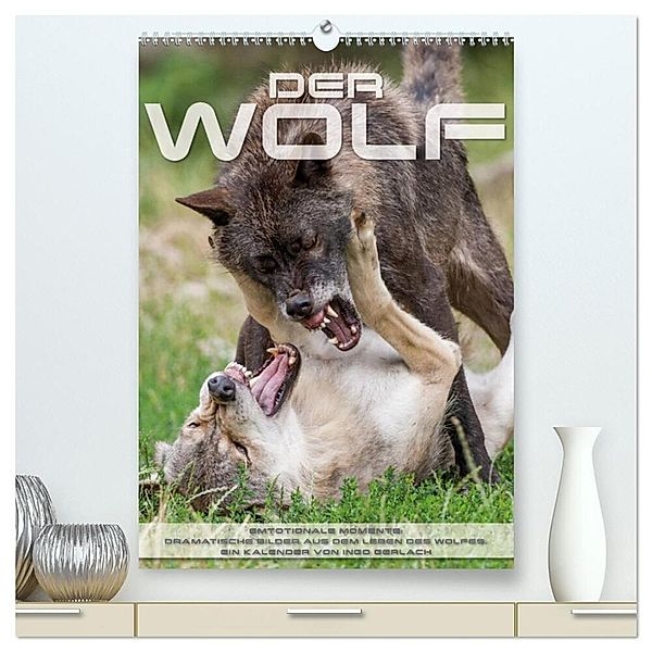 Emotionale Momente: Der Wolf. (hochwertiger Premium Wandkalender 2024 DIN A2 hoch), Kunstdruck in Hochglanz, Ingo Gerlach