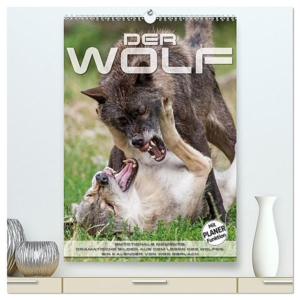 Emotionale Momente: Der Wolf. (hochwertiger Premium Wandkalender 2024 DIN A2 hoch), Kunstdruck in Hochglanz, Ingo Gerlach