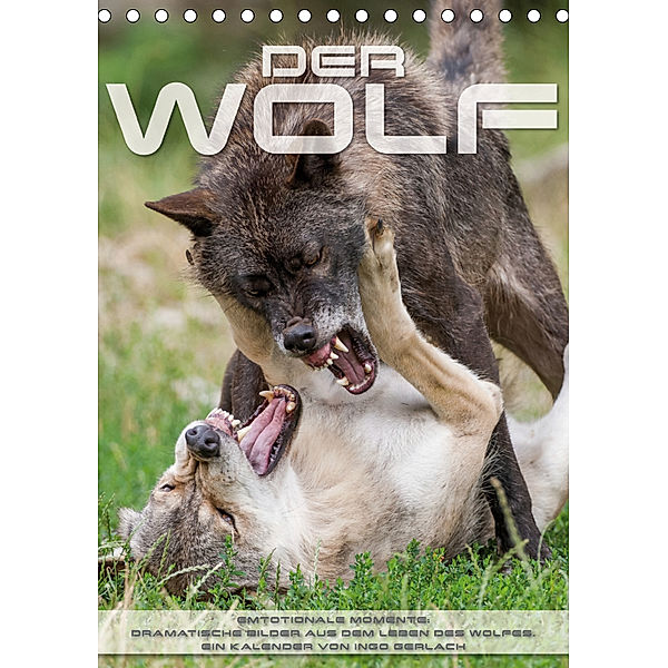 Emotionale Momente: Der Wolf. (Tischkalender 2019 DIN A5 hoch), Ingo Gerlach