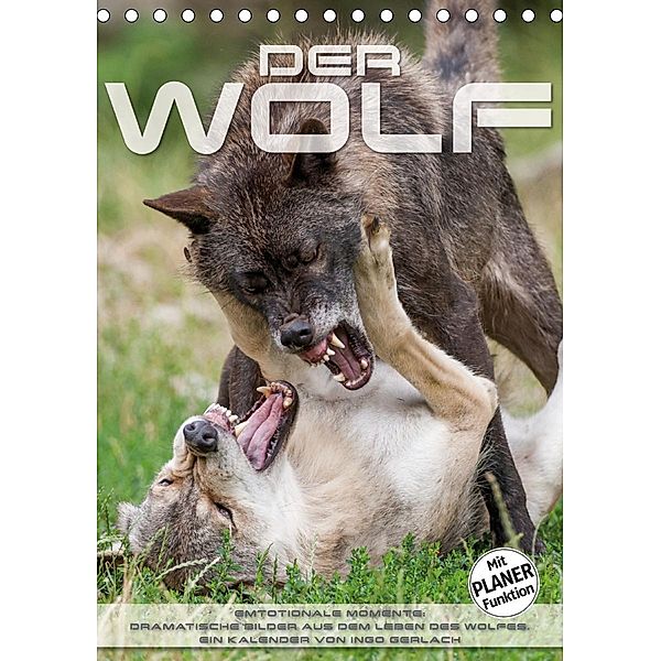 Emotionale Momente: Der Wolf. (Tischkalender 2020 DIN A5 hoch), Ingo Gerlach