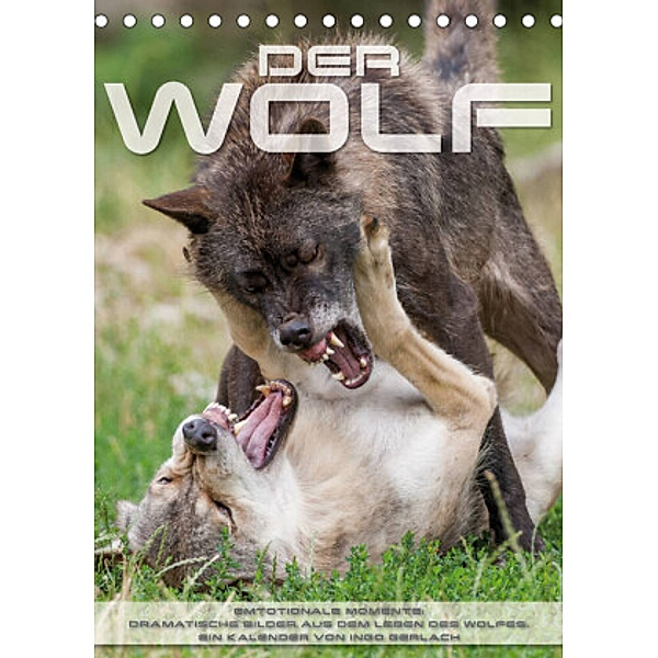 Emotionale Momente: Der Wolf. (Tischkalender 2022 DIN A5 hoch), Ingo Gerlach