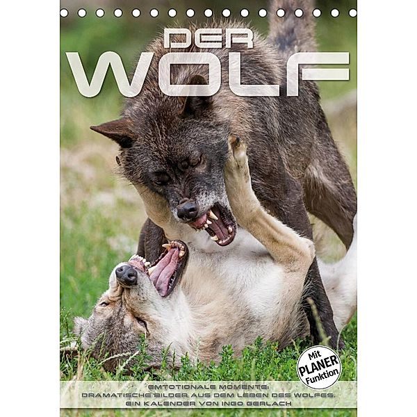 Emotionale Momente: Der Wolf. (Tischkalender 2023 DIN A5 hoch), Ingo Gerlach