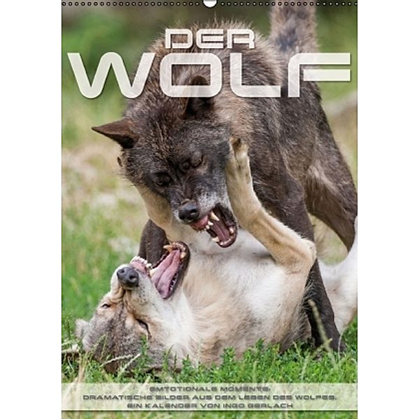 Emotionale Momente: Der Wolf. (Wandkalender 2016 DIN A2 hoch), Ingo Gerlach