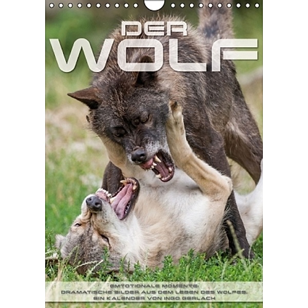 Emotionale Momente: Der Wolf. (Wandkalender 2016 DIN A4 hoch), Ingo Gerlach