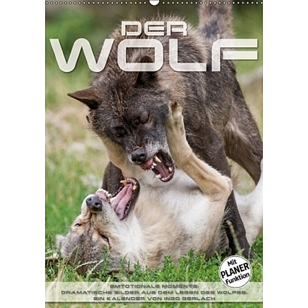 Emotionale Momente: Der Wolf. (Wandkalender 2017 DIN A2 hoch), Ingo Gerlach