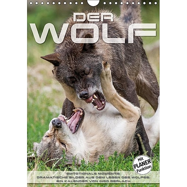 Emotionale Momente: Der Wolf. (Wandkalender 2017 DIN A4 hoch), Ingo Gerlach