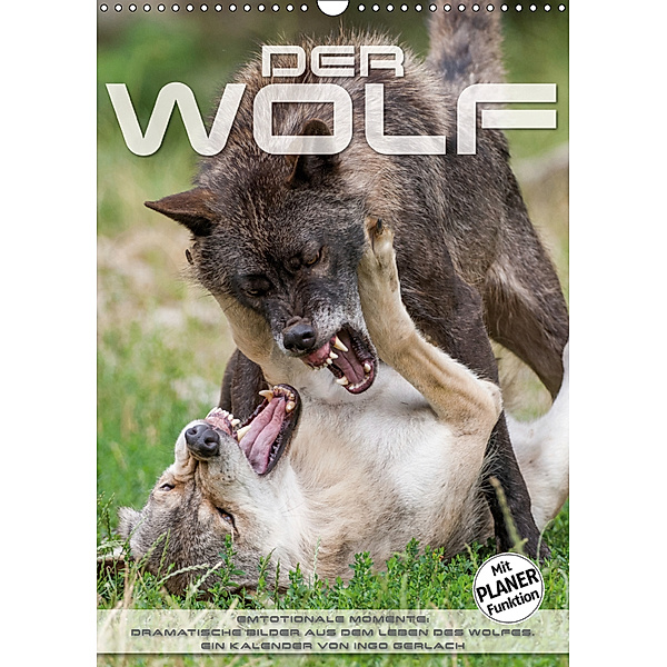 Emotionale Momente: Der Wolf. (Wandkalender 2019 DIN A3 hoch), Ingo Gerlach