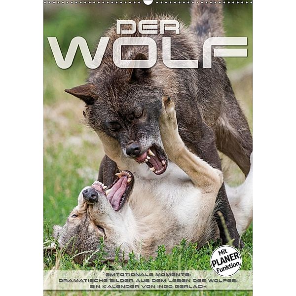 Emotionale Momente: Der Wolf. (Wandkalender 2020 DIN A2 hoch), Ingo Gerlach