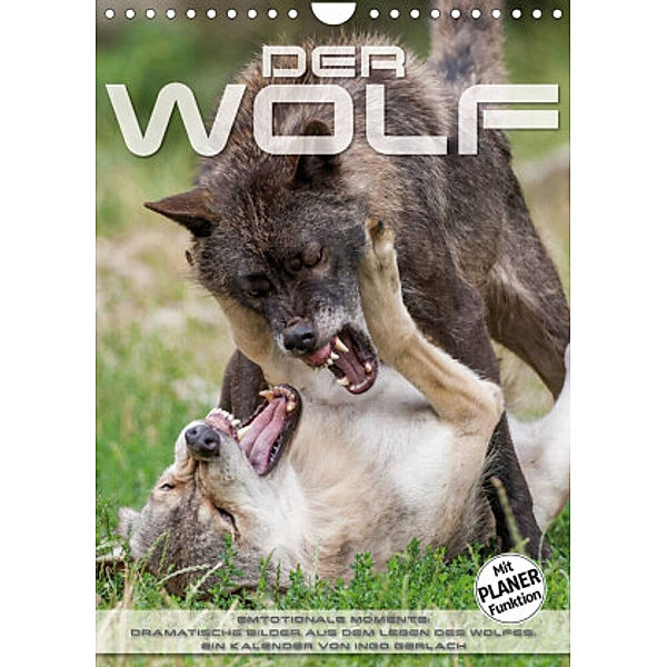 Emotionale Momente: Der Wolf. (Wandkalender 2022 DIN A4 hoch), Ingo Gerlach