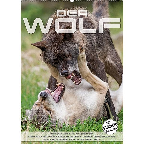 Emotionale Momente: Der Wolf. (Wandkalender 2023 DIN A2 hoch), Ingo Gerlach