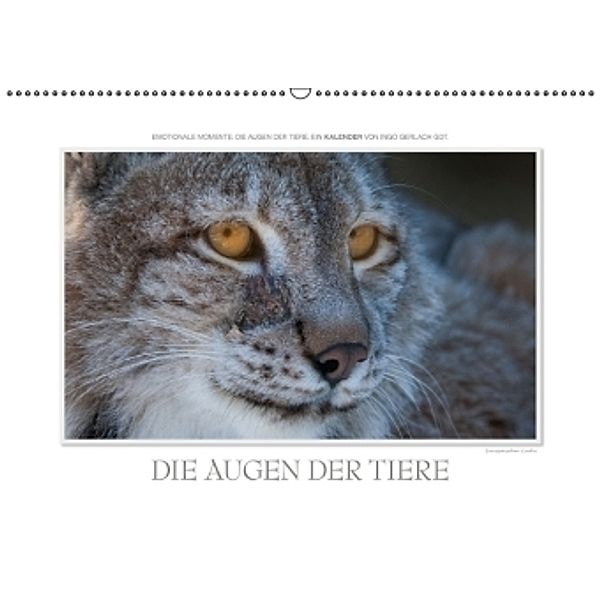Emotionale Momente: Die Augen der Tiere. / AT-Version (Wandkalender 2015 DIN A2 quer), Ingo Gerlach