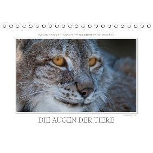 Emotionale Momente: Die Augen der Tiere. / CH-Version (Tischkalender 2015 DIN A5 quer), Ingo Gerlach
