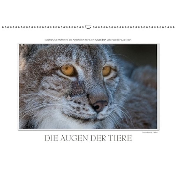 Emotionale Momente: Die Augen der Tiere. / CH-Version (Wandkalender 2017 DIN A2 quer), Ingo Gerlach