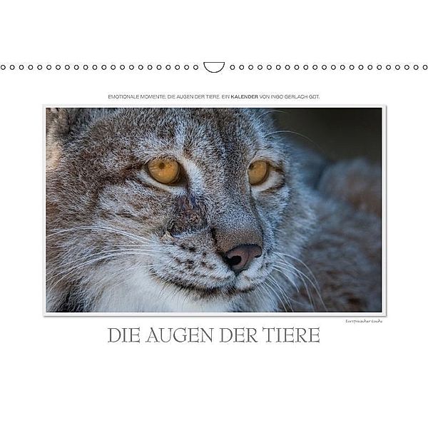Emotionale Momente: Die Augen der Tiere. / CH-Version (Wandkalender 2017 DIN A3 quer), Ingo Gerlach, Ingo Gerlach GDT