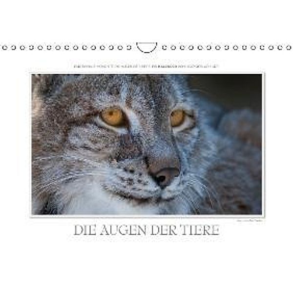 Emotionale Momente: Die Augen der Tiere. (Wandkalender 2016 DIN A4 quer), Ingo Gerlach