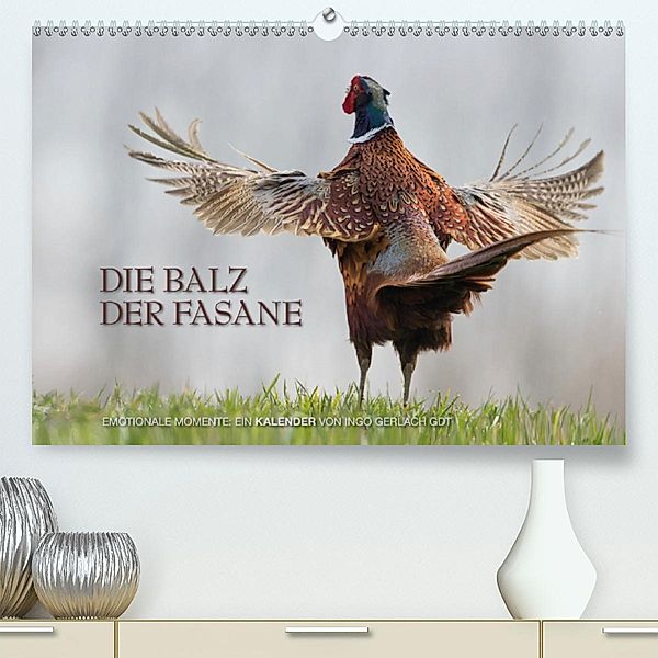 Emotionale Momente: Die Balz der Fasane / CH-Version (Premium-Kalender 2020 DIN A2 quer), Ingo Gerlach GDT