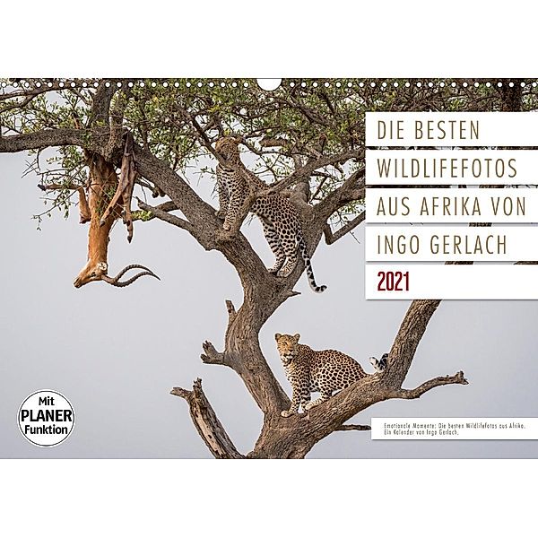 Emotionale Momente: Die besten Wildlifefotos aus Afrika. (Wandkalender 2021 DIN A3 quer), Ingo Gerlach