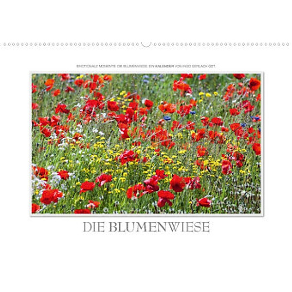 Emotionale Momente: Die Blumenwiese. (Premium, hochwertiger DIN A2 Wandkalender 2022, Kunstdruck in Hochglanz), Ingo Gerlach GDT